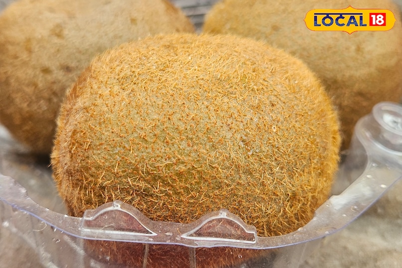 green Vs yellow kiwi green Vs yellow kiwi