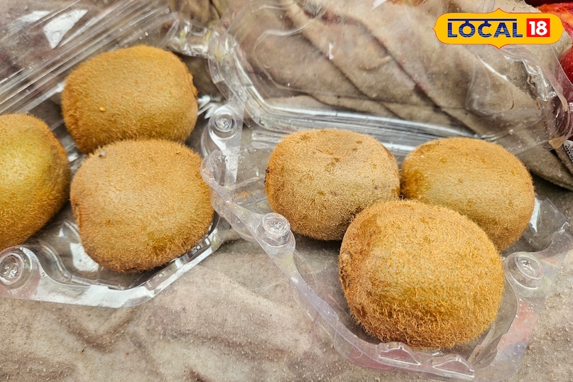 green Vs yellow kiwi green Vs yellow kiwi