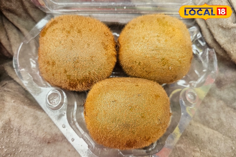 green Vs yellow kiwi green Vs yellow kiwi