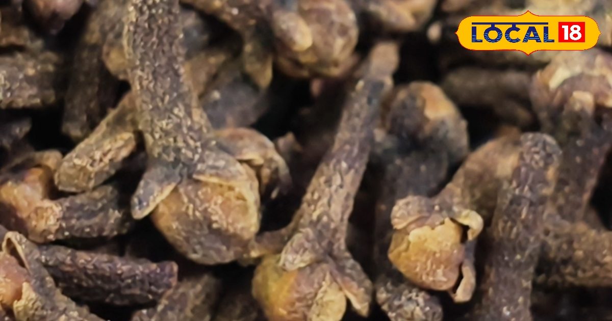 खाली जेब से छुटकारा चाहिए? नवरात्रि में करें ये खास उपाय, ज़िंदगी लेगी यू-टर्न खाली जेब से छुटकारा चाहिए? नवरात्रि में करें ये खास उपाय, ज़िंदगी लेगी यू-टर्न