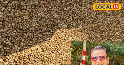 धनिया पानी पीने के अनोखे फायदे 