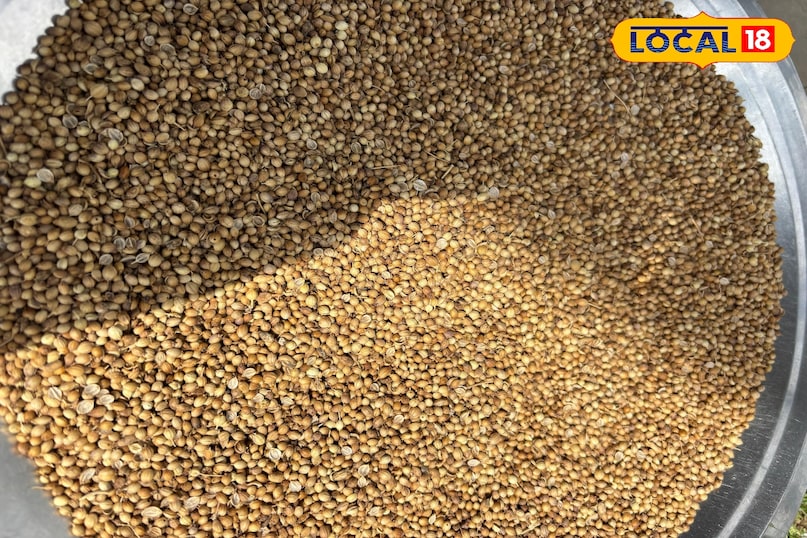 Makes the digestive power strong Makes the digestive power strong