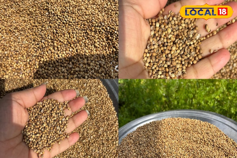 It can also help in weight control It can also help in weight control