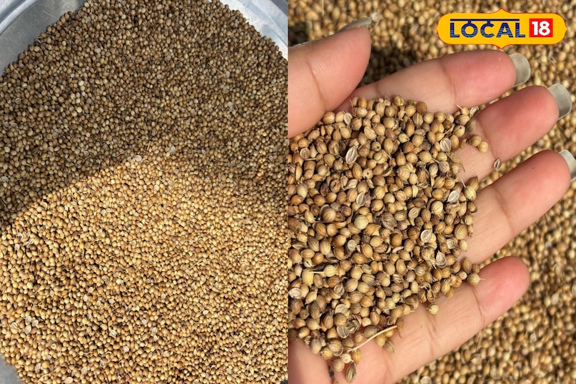 Considered helpful in controlling sugar levels Considered helpful in controlling sugar levels