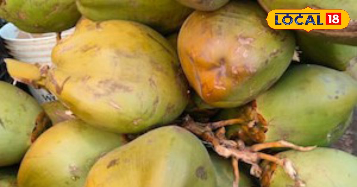 गर्मियों में आपकी सेहत को नुकसान पहुंचा सकती हैं आपकी ये आम आदतें, एक्सपर्ट से जानें बचाव