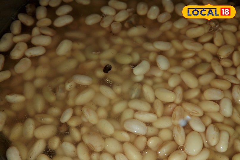 how it will produce milk how it will produce milk