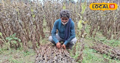 बाराबंकी में बेमौसम बारिश-ओलावृष्टि से किसानों पर आफत, फसलें बर्बाद