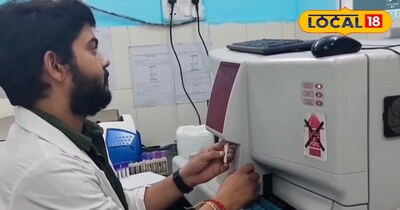 सैंपल की जांच करते हुए 