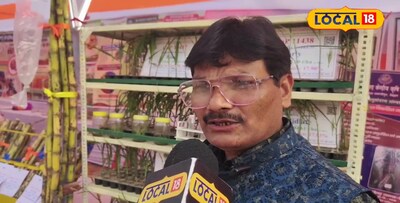 गेहूं कटाई के बाद गन्ने की उन्नत खेती: सही रोपाई से दोगुना उत्पादन पाएं.