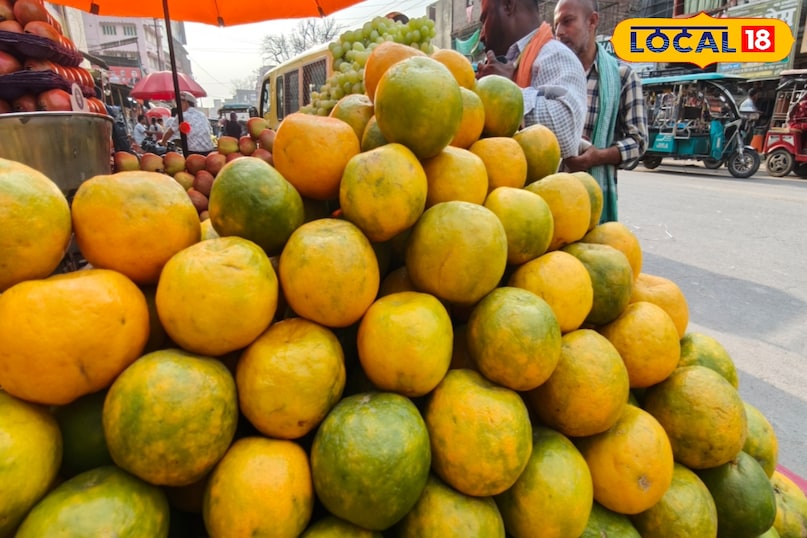 पाचन तंत्र 