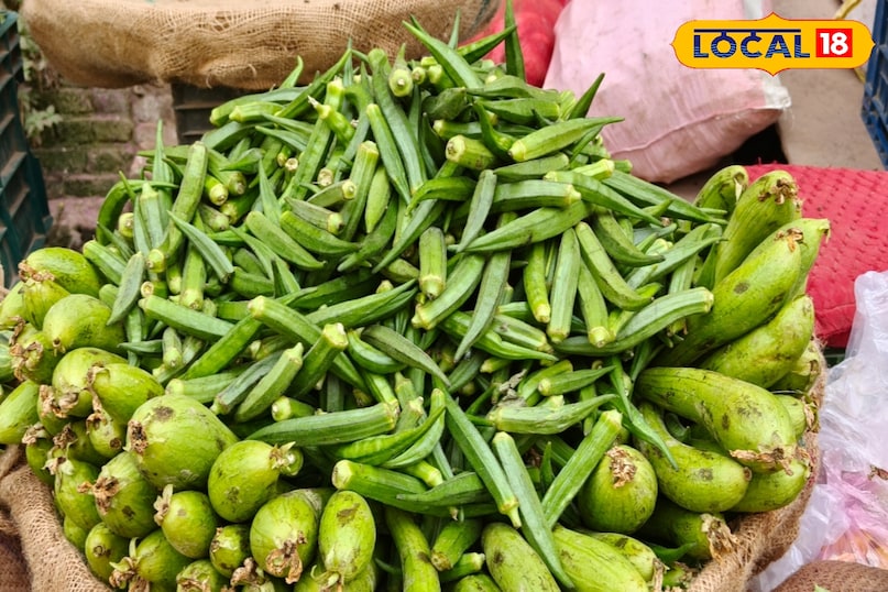 पाचन तंत्र पाचन तंत्र