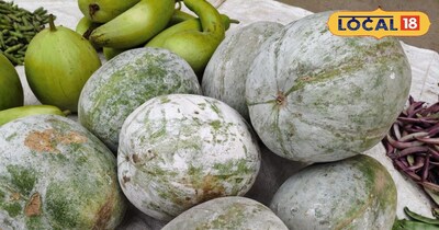 सफेद कद्दू 