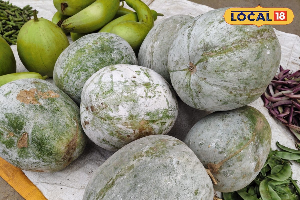 सफेद कद्दूू के जूस में छिपा है ये राज, पीने से दिमाग होता है तेज, पाचन तंत्र ठीक से करता है काम, एक्सपर्ट ने बताया