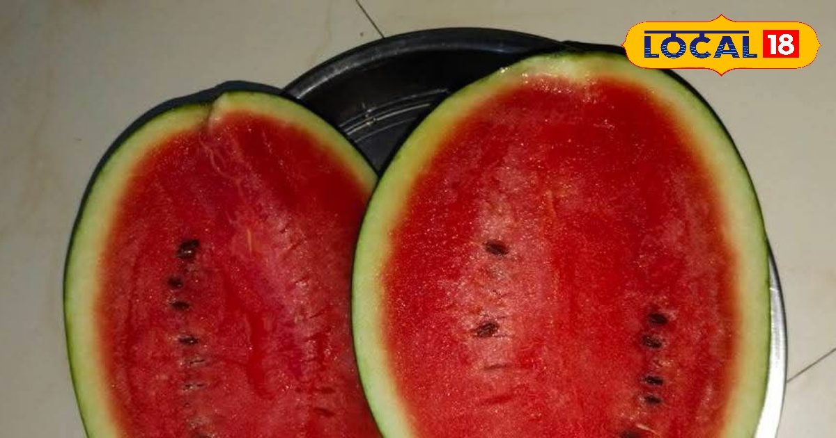 लाल और मीठे तरबूज की जबरदस्त पहचान! हाथ में उठाते ही चल जाएगा पता, ट्राई करें