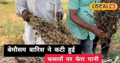 फालना में बारिश ने तोड़ी किसानों की कमर