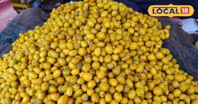 साल में सिर्फ 20 दिन मिलता है यह चमत्कारी फल! बीकानेर में 300 रुपये किलो बिकी 'खिरनी'.