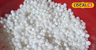 साबूदान 