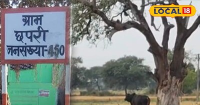 सांड के हमले में एक बुजुर्ग की मौत हो चुकी है.