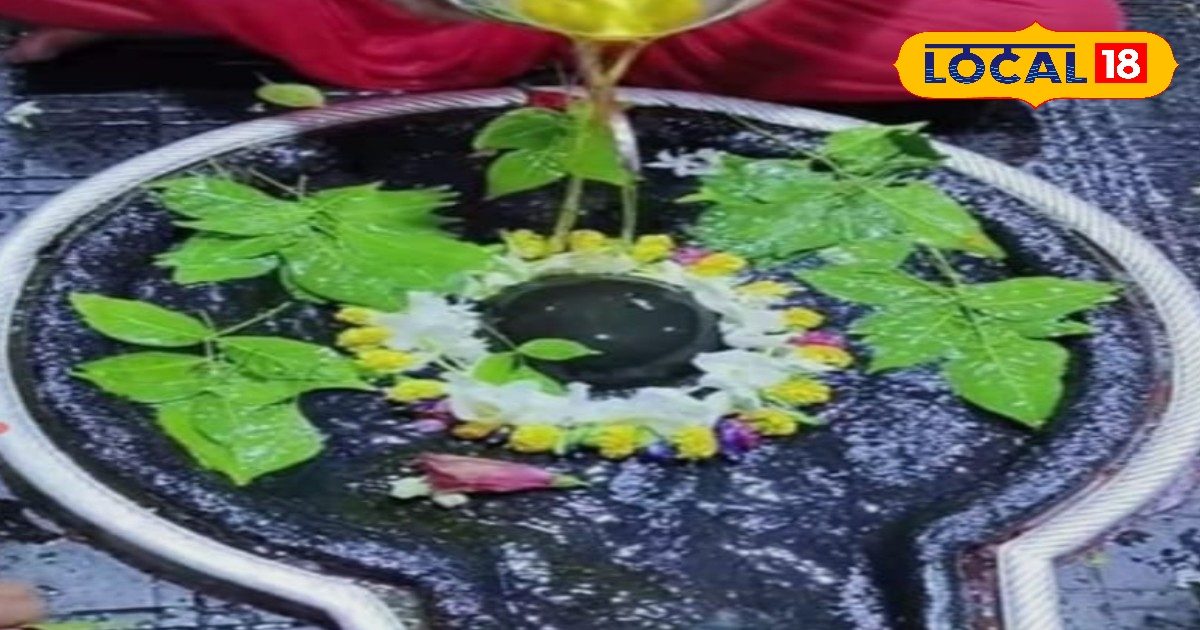 कन्या राशि वालों का आज का दिन रहेगा बहुत शुभ,आय के नए स्रोत बनेंगे,हर काम में मिलेगी सफलता कन्या राशि वालों का आज का दिन रहेगा बहुत शुभ,आय के नए स्रोत बनेंगे,हर काम में मिलेगी सफलता