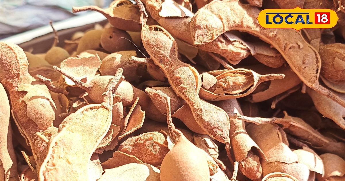 एक हफ्ते तक चलेगी ये देसी ड्रिंक! आम पन्ना से भी ज्यादा स्वादिष्ट, पीते ही लेंगे चटकारा