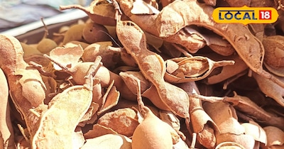 पकी हुई इमली 