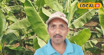 ₹1 लाख लगाकर ₹7 लाख की कमाई! बुरहानपुर के सूपड़ू चौहान ने घर पर बनाई खाद, बदली किस्मत.