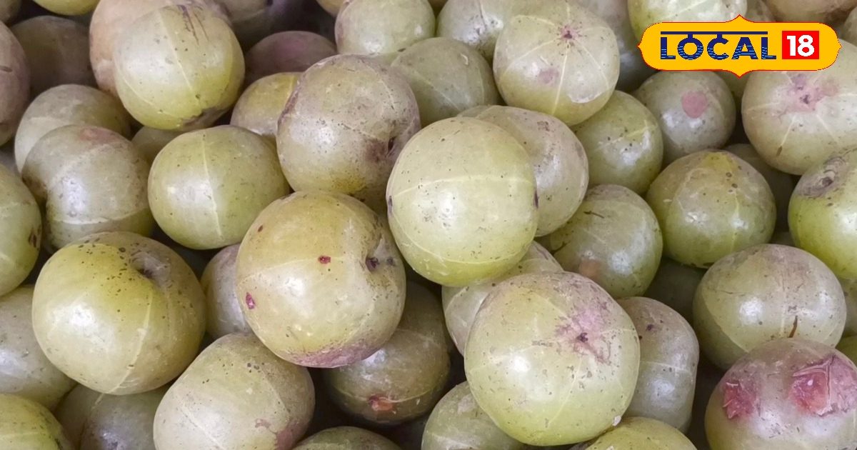 कमाल का है ये छोटा सा खट्टा फल, शारीरिक कमजोरी करे दूर, बालों को बनाए काला और मजबूत