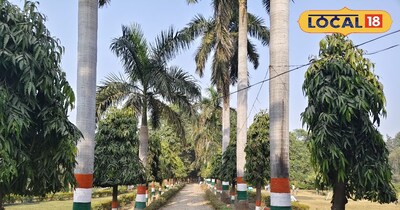 पिकनिक स्पॉट 