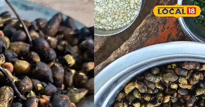 गाजीपुर में आज भी जिंदा है गरम गरम चने खाने बनाने‘होरहा’ की देसी परंपरा