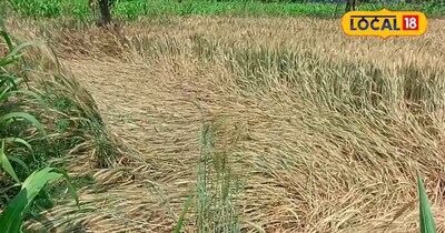 आंधी, बारिश और ओलावृष्टि ने रबी फसलों को किया तबाह