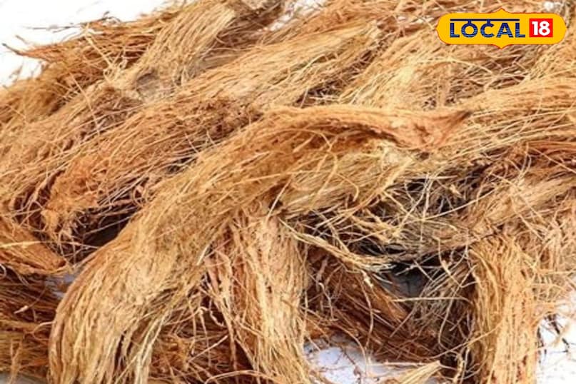 देसी उपाय देसी उपाय