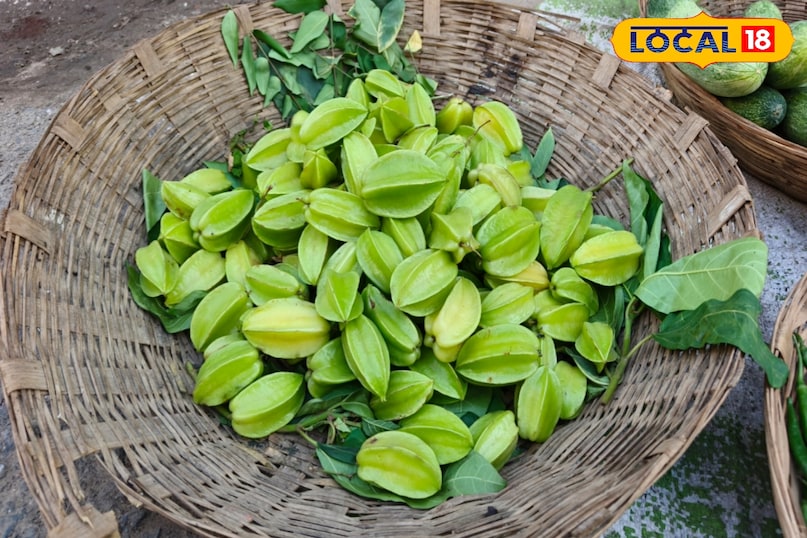 पाचन तंत्र पाचन तंत्र