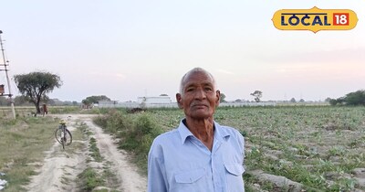 गोभी के डंठल से पशुओं को मिल रहा पौष्टिक चारा.