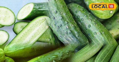 खीरा ककड़ी