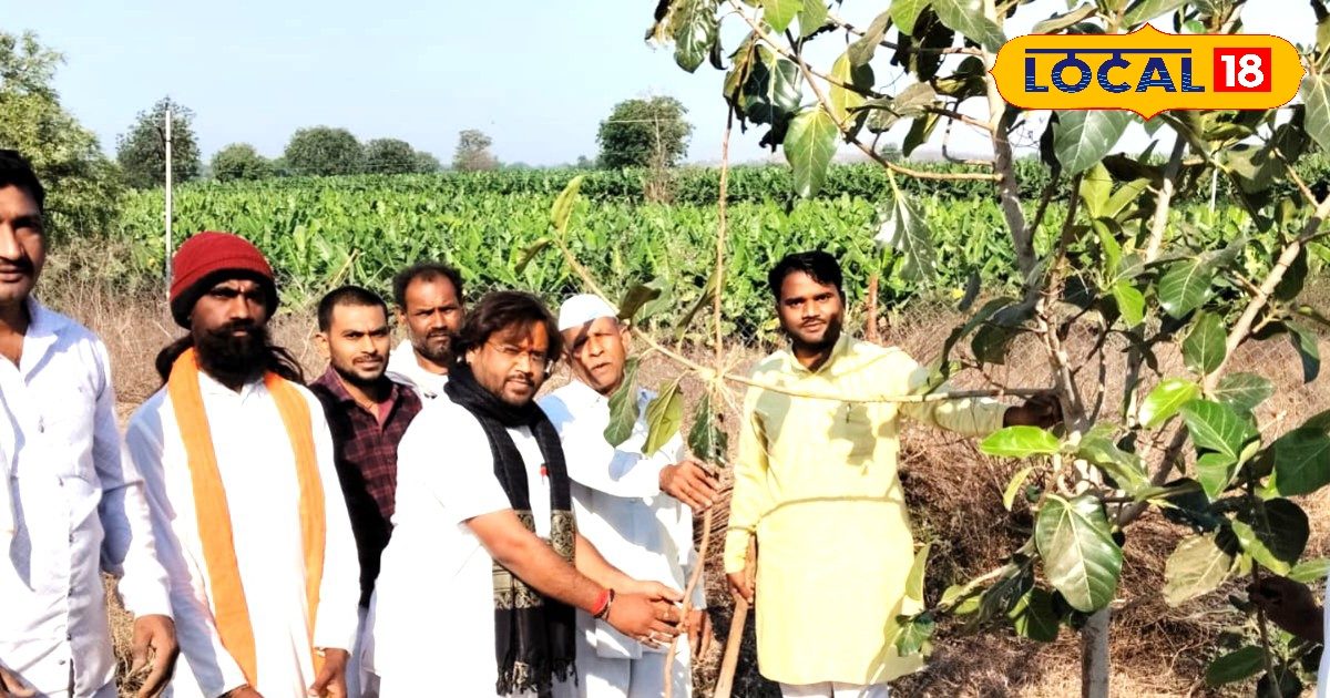 शिक्षक के साथ जुड़ गए डॉक्टर, इंजीनियर, 500 लोग, बुरहानपुर के इस गांव में हो रहा अनोखा काम