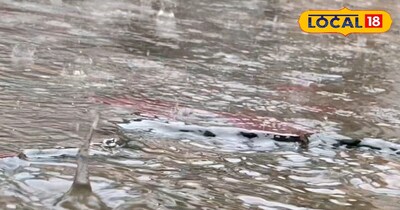 राजस्थान में बारिश का दौर जारी 