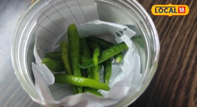 हरी मिर्च 15-20 दिन नहीं होगी खराब, इस तरह करें स्टोर, बार-बार बाजार जाने का झंझट खत्म.