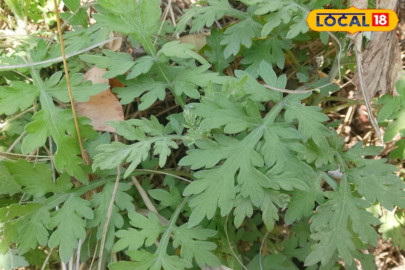 importance in today's world 