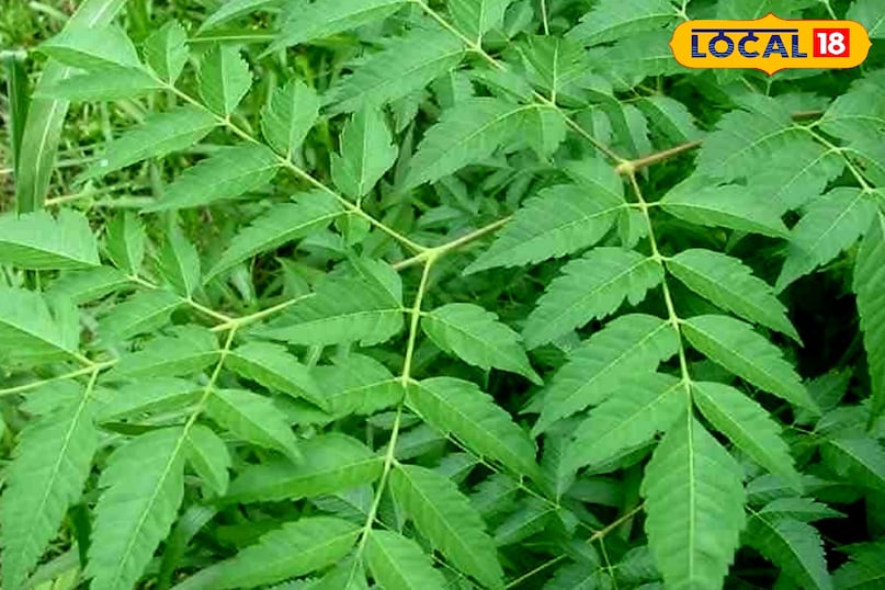 महिलाओं की समस्या में उपयोगी