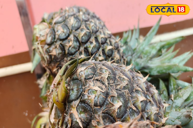 दर्द और सूजन