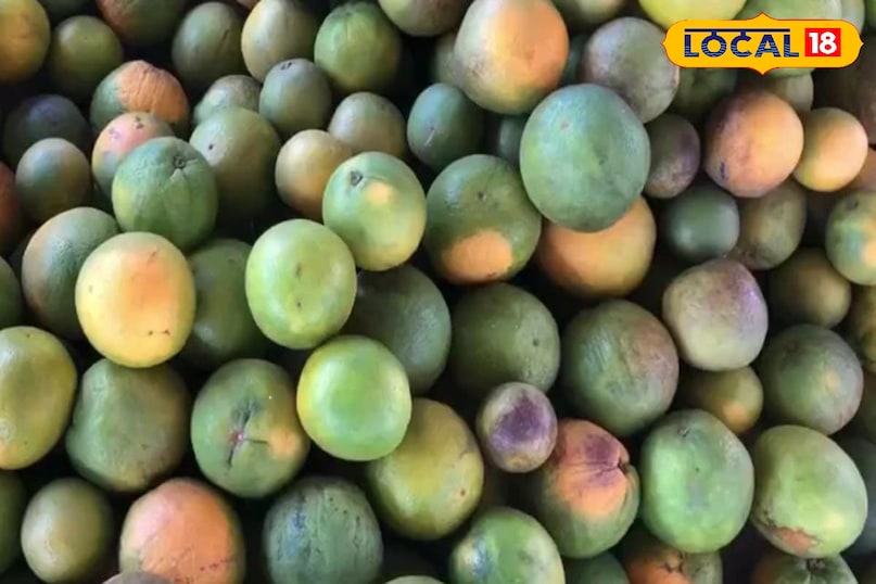 Moradabad news, hindi news up news, local news, मुरादाबाद समाचार, हिंदी समाचार, लोकल समाचार, यूपी समाचार।