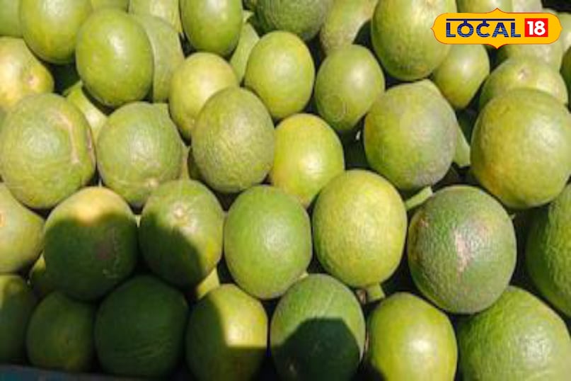 Moradabad news, hindi news up news, local news, मुरादाबाद समाचार, हिंदी समाचार, लोकल समाचार, यूपी समाचार।