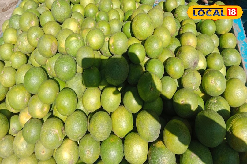 Moradabad news, hindi news up news, local news, मुरादाबाद समाचार, हिंदी समाचार, लोकल समाचार, यूपी समाचार।