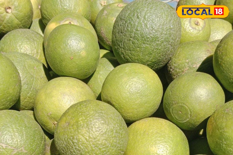 Moradabad news, hindi news up news, local news, मुरादाबाद समाचार, हिंदी समाचार, लोकल समाचार, यूपी समाचार।