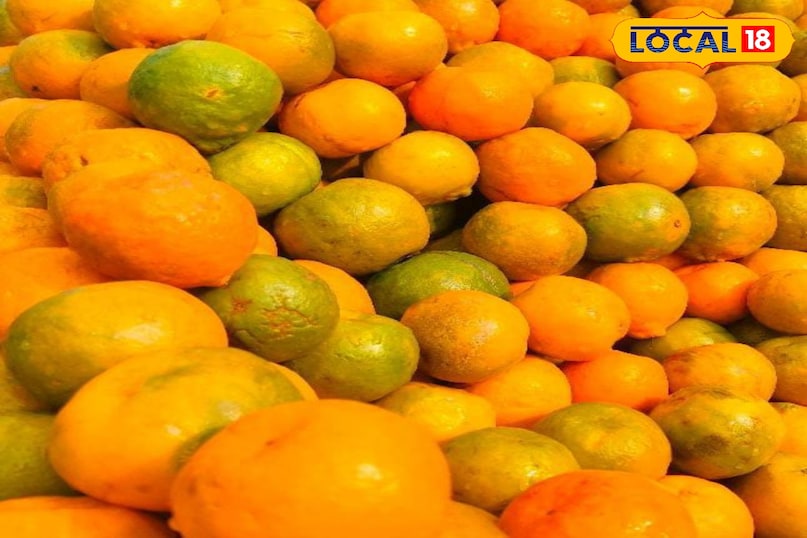 Moradabad news, hindi news up news, local news, मुरादाबाद समाचार, हिंदी समाचार, लोकल समाचार, यूपी समाचार।