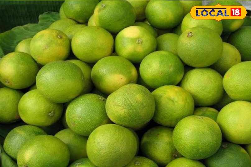 Moradabad news, hindi news up news, local news, मुरादाबाद समाचार, हिंदी समाचार, लोकल समाचार, यूपी समाचार।