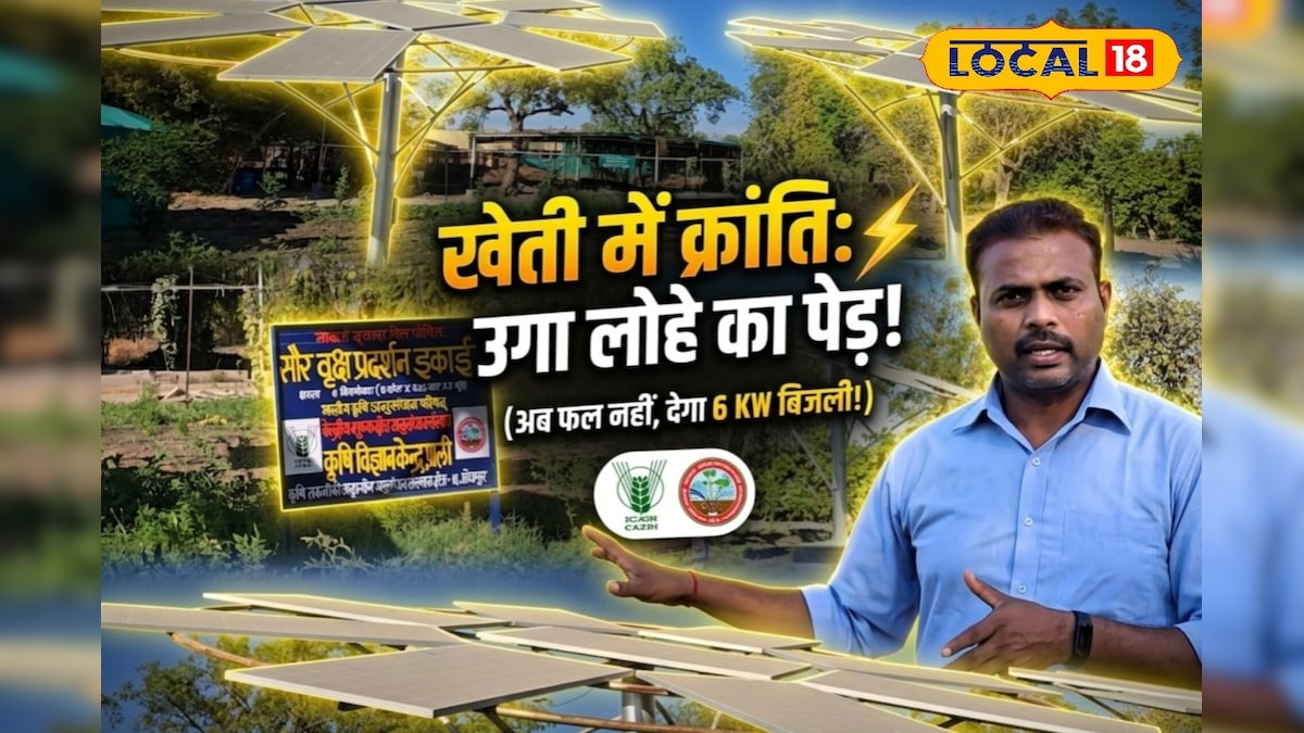 न पानी, न खाद… फिर भी रोशन करेगा खेत! पाली में ‘सोलर ट्री’ का कमाल, कम जगह में ज्यादा बिजली