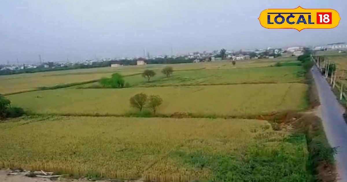 फरीदाबाद के पृथला में तेजी से बढ़ रहे प्लॉट के रेट, जानिए क्या है ताजा कीमतें और क्यों है ये निवेशकों की पहली पसंद