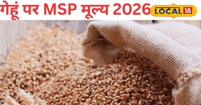 इस साल गेहूं की बिक्री पर किसानों को मिलेगा बंपर लाभ। 