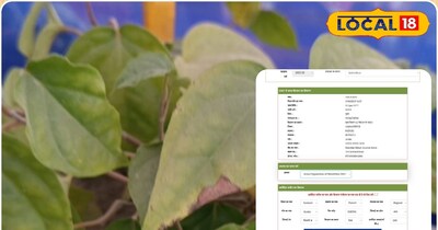 फाइल फोटो 